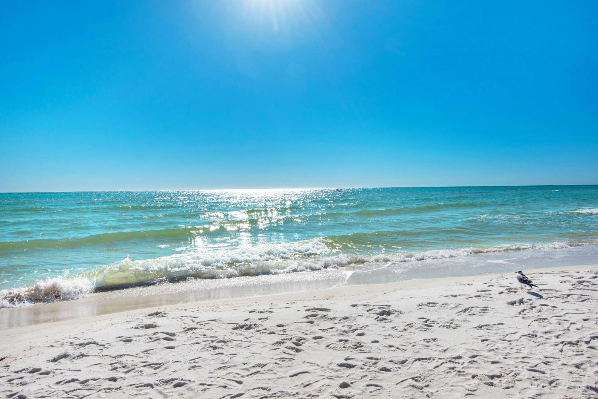 Shores Of Panama 1816 Panama City Beach Kültér fotó